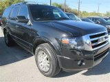 2014 Tuxedo Black Ford Expedition Limited 4x4 #99987820