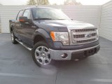 2014 Blue Jeans Ford F150 XLT SuperCrew 4x4 #100127940