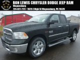 Black Forest Green Pearl Ram 1500 in 2015