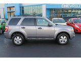 2008 Tungsten Grey Metallic Ford Escape XLT #100283885