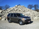 2002 Mineral Grey Metallic Ford Explorer Limited 4x4 #100327625