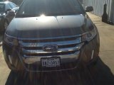 2012 Mineral Grey Metallic Ford Edge SEL #100327481