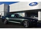 2015 Guard Metallic Ford Mustang EcoBoost Premium Coupe #100381630