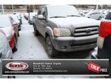 2006 Toyota Tundra SR5 Double Cab 4x4