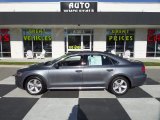 2014 Platinum Gray Metallic Volkswagen Passat 2.5L SE #100521644