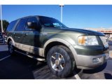 2005 Ford Expedition King Ranch Data, Info and Specs