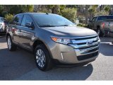 2014 Mineral Gray Ford Edge Limited #100557637