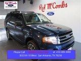 2015 Blue Jeans Metallic Ford Expedition XLT #100636676
