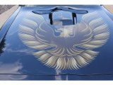 Pontiac Firebird 1981 Badges and Logos