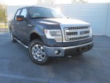 2014 Blue Jeans Ford F150 XLT SuperCrew 4x4 #100816076