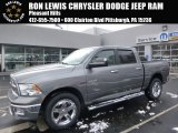 Light Graystone Pearl Dodge Ram 1500 in 2010