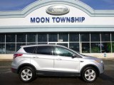 2014 Ingot Silver Ford Escape SE 2.0L EcoBoost 4WD #101244320
