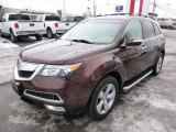 2010 Acura MDX Technology Front 3/4 View