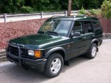 2001 Epsom Green Land Rover Discovery SE7 #10095095