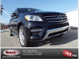 2015 Black Mercedes-Benz ML 350 #101322695