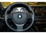 2015 BMW 5 Series 528i Sedan Steering Wheel