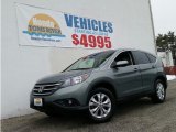 2012 Opal Sage Metallic Honda CR-V EX 4WD #101487953