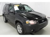 2006 Ford Escape XLT V6 4WD