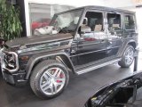 2015 Mercedes-Benz G 63 AMG Exterior