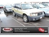 2004 Sierra Gold Metallic Subaru Forester 2.5 X #101764545