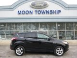 2014 Tuxedo Black Ford Escape SE 2.0L EcoBoost 4WD #101800386
