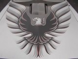 1979 Pontiac Firebird 10th Anniversary Trans Am Marks and Logos
