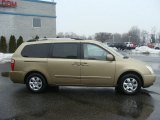 Cashmere Beige Kia Sedona in 2010