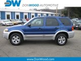 2007 Vista Blue Metallic Ford Escape XLT V6 4WD #10192999