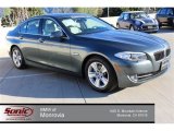 2012 Tasman Green Metallic BMW 5 Series 528i Sedan #102222451