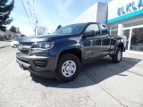 2015 Cyber Gray Metallic Chevrolet Colorado WT Extended Cab 4WD #102342896