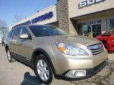 2010 Harvest Gold Metallic Subaru Outback 2.5i Premium Wagon #102509588