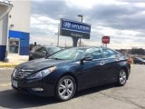 2012 Pacific Blue Pearl Hyundai Sonata Limited #102644589