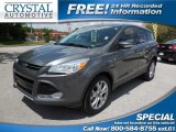 2013 Sterling Gray Metallic Ford Escape SEL 1.6L EcoBoost #102814745