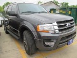 2015 Magnetic Metallic Ford Expedition XLT #102884388