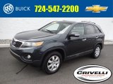 2013 Baltic Blue Kia Sorento LX #102924295