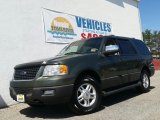 2004 Estate Green Metallic Ford Expedition XLT 4x4 #103001110