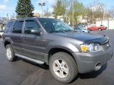 Dark Shadow Grey Metallic Ford Escape in 2006