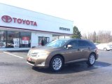 2009 Golden Umber Mica Toyota Venza I4 #103323718