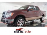 2009 Royal Red Metallic Ford F150 XLT SuperCrew 4x4 #103398083