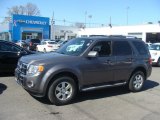 2010 Sterling Grey Metallic Ford Escape Limited #103519047