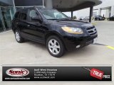 2009 Ebony Black Hyundai Santa Fe Limited #103716603