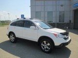 2009 Taffeta White Honda CR-V EX-L 4WD #103784460