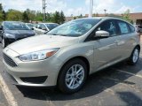 Tectonic Metallic Ford Focus in 2015