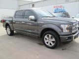 2015 Magnetic Metallic Ford F150 Platinum SuperCrew 4x4 #103869035