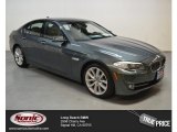 Tasman Green Metallic BMW 5 Series in 2012