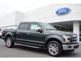 2015 Guard Metallic Ford F150 Lariat SuperCrew #103937743