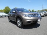 Tinted Bronze Nissan Murano in 2012