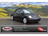 2008 Black Volkswagen New Beetle SE Convertible #104095845