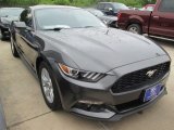 2015 Magnetic Metallic Ford Mustang EcoBoost Coupe #104323121