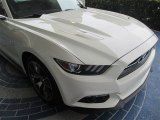 2015 50th Anniversary Wimbledon White Ford Mustang 50th Anniversary GT Coupe #104353873